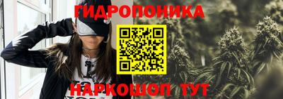 a pvp Гай