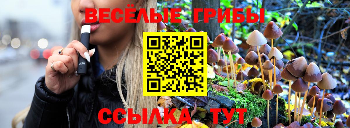 закладка  Псилоцибиновые грибы GOLDEN TEACHER  Вход с VPN  Отрадное 