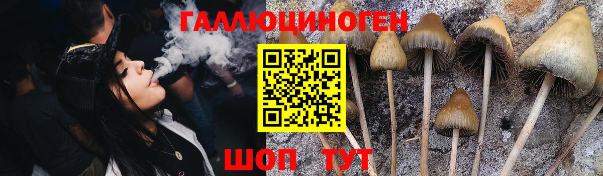 Псилоцибиновые грибы GOLDEN TEACHER Отрадное